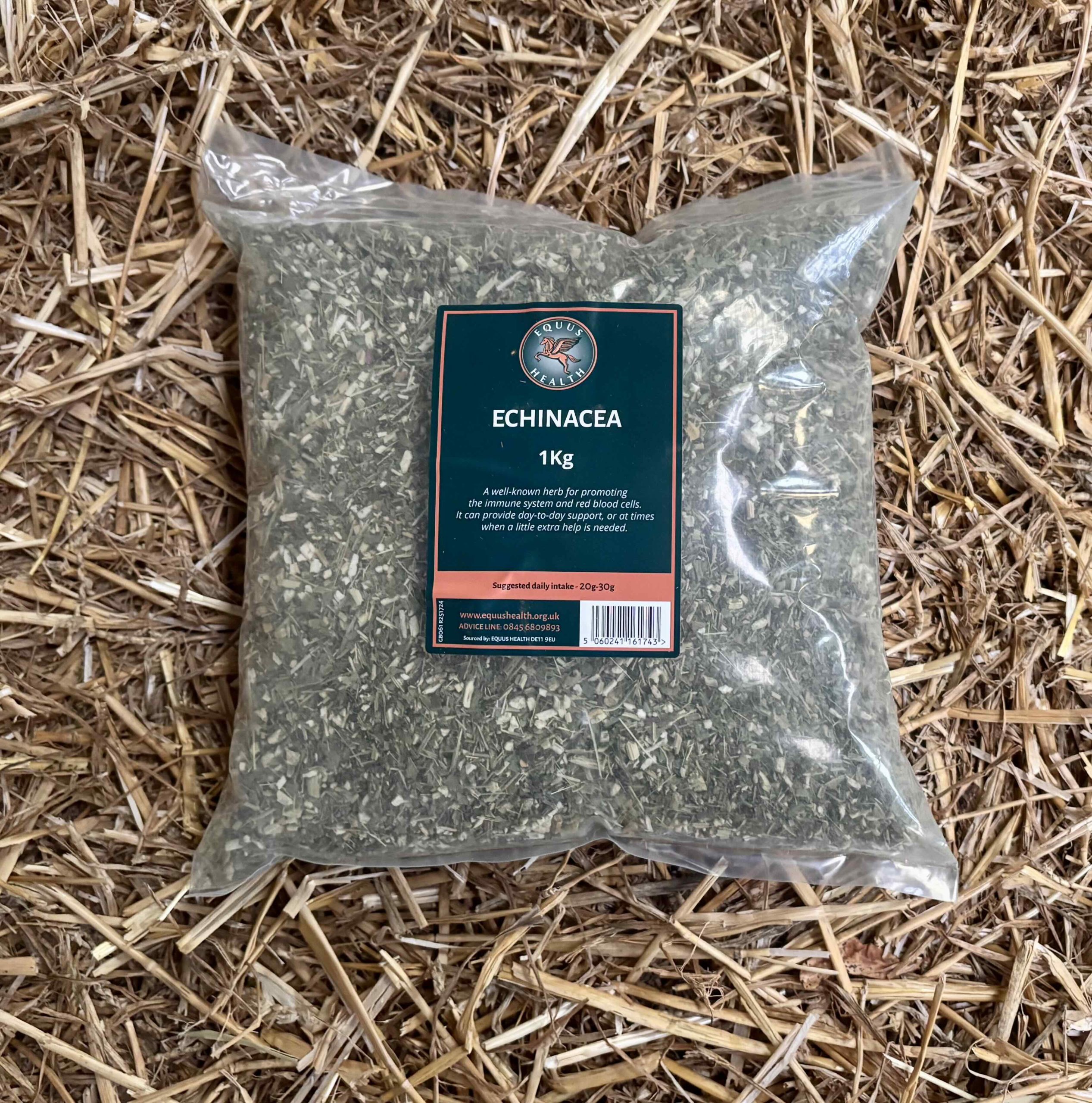 Equus Health Echinacea