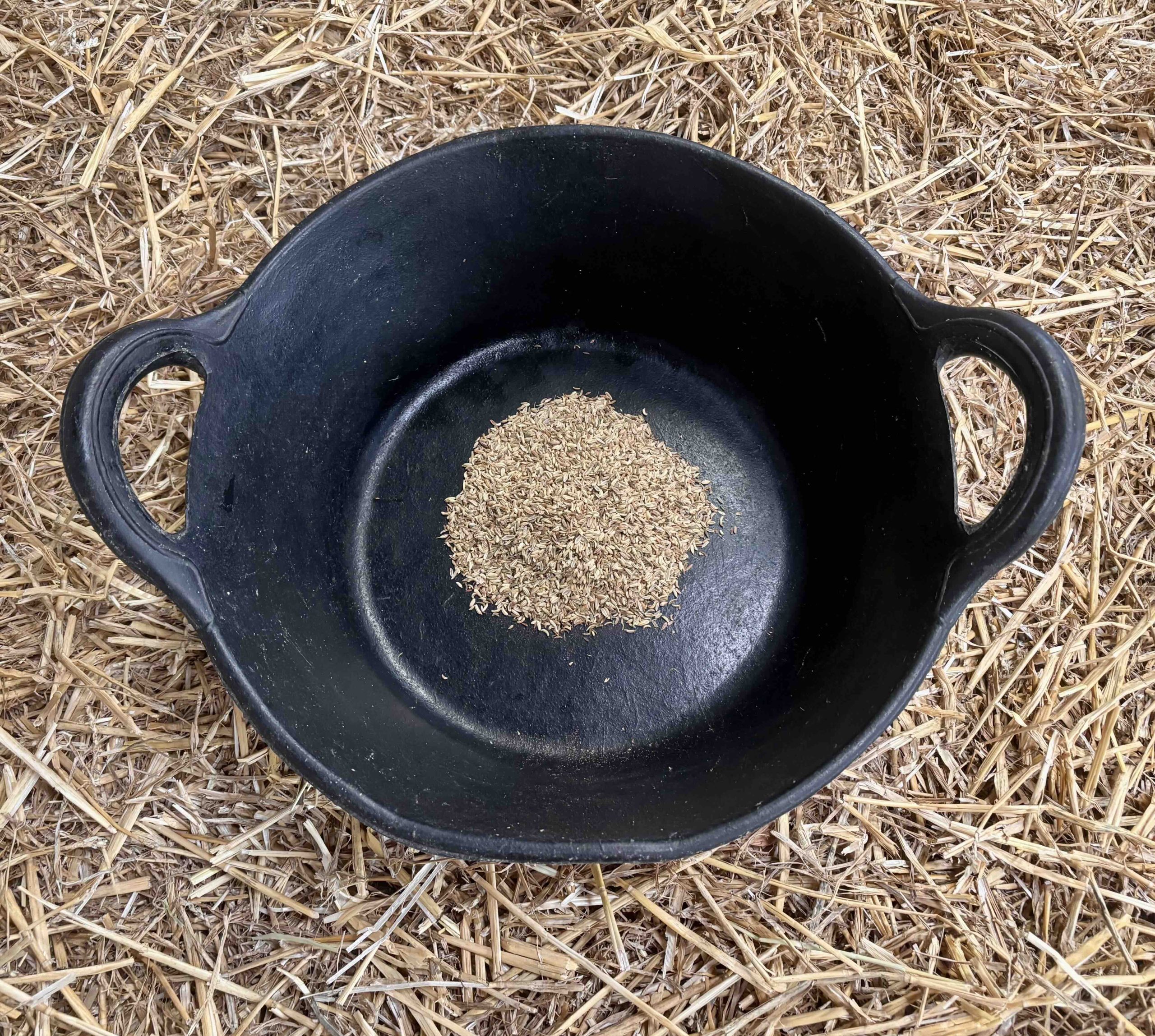 Equus Health Fennel Seeds - Image 2