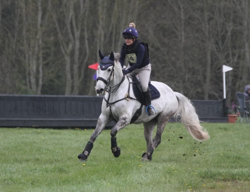 Managing Mares – A Change in Season