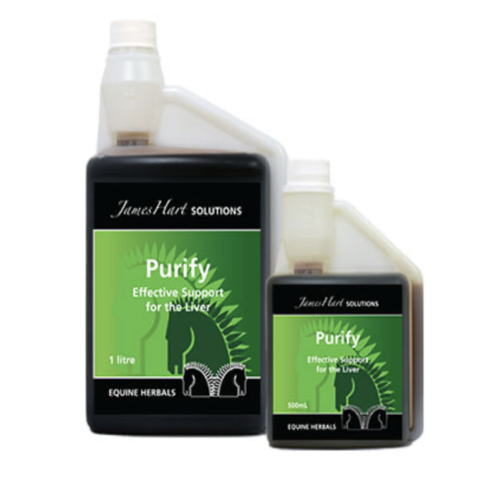 James Hart Purify