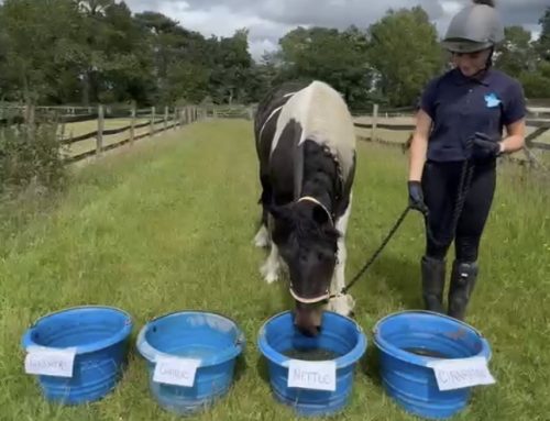 Water Buffets
