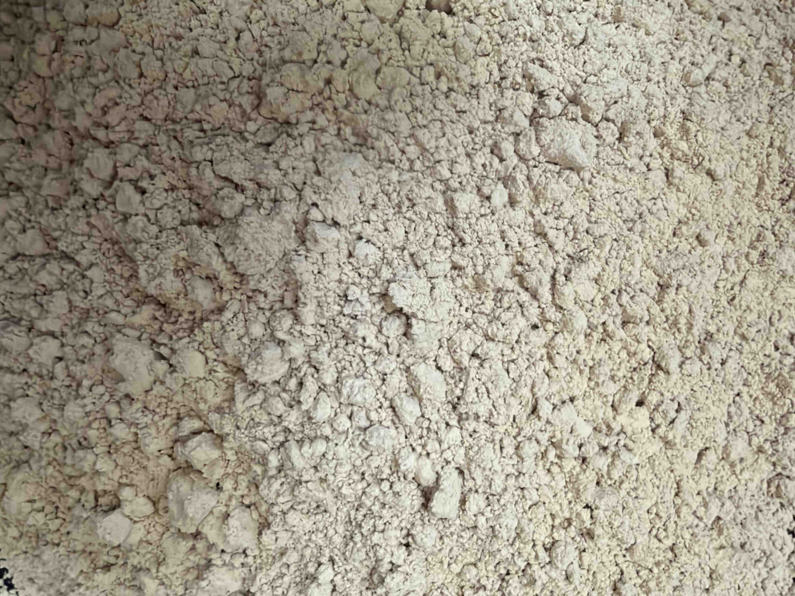 Slippery Elm Powder - Image 3